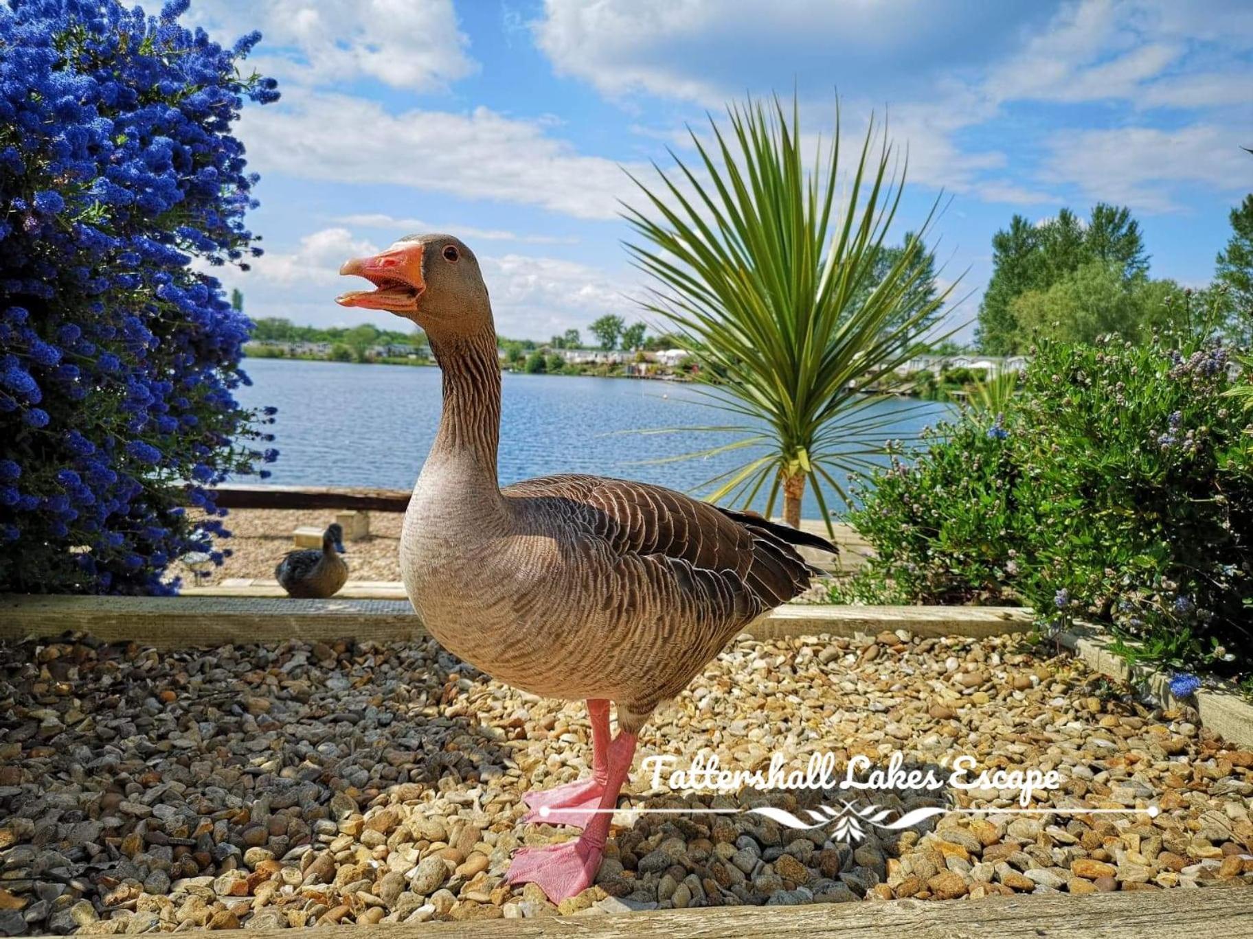 Meridian Tattershall Lakes Escape - Lakeside Lodge Caravan With A Fishing Peg Luxury Hot Tub Kültér fotó