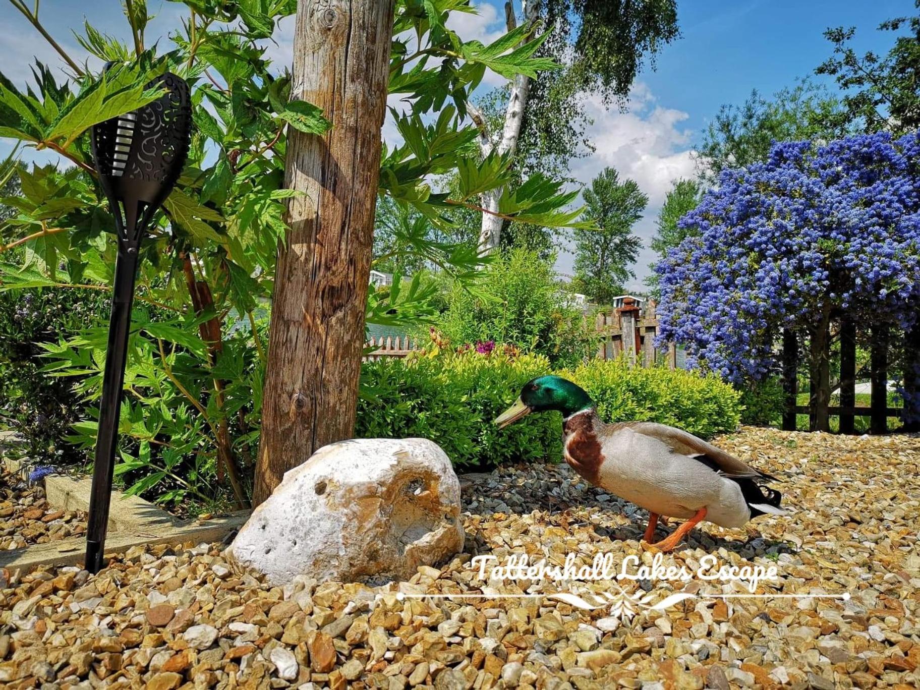 Meridian Tattershall Lakes Escape - Lakeside Lodge Caravan With A Fishing Peg Luxury Hot Tub Kültér fotó